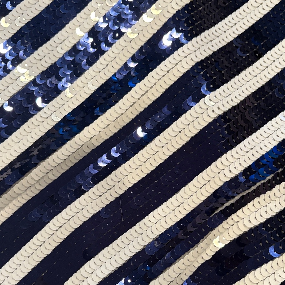 Navy and white Striped Sequin Dress - Picture 7 of 9